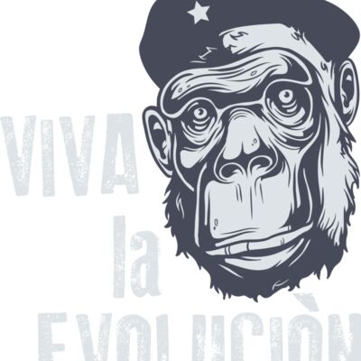 2016 03 14 025 Thumbnail